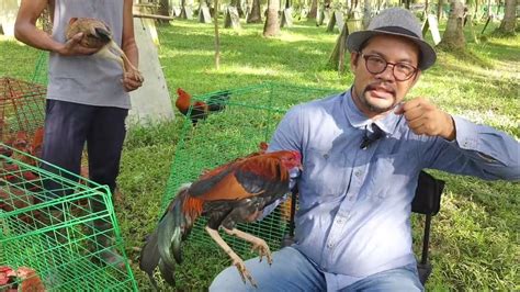 lo dyes sabong|Paano ang Tamang Pagpili ng Breeding Materials .